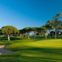 Algarve drives towards another record year