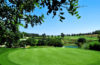 Scandinavian Cup on Benamor Golf Menu
