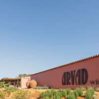 Set within a Phoenician river refuge, Arvad is a blossoming winery focused on nature and sustainable tourism 