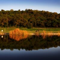A new era for Portuguese golf: Clubhouse Algarve spoke with the President of the Portuguese Golf Federation about the future of the sport